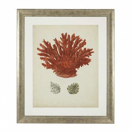 Настенный декор EICHHOLTZ Prints Antique red corals set of 6 арт 111741: фото 6