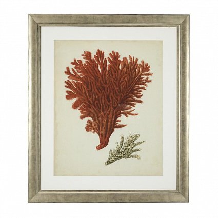 Настенный декор EICHHOLTZ Prints Antique red corals set of 6 арт 111741: фото 7