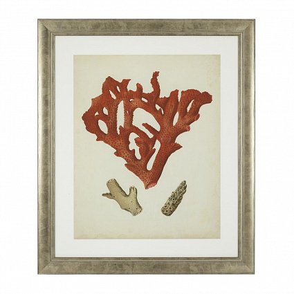 Настенный декор EICHHOLTZ Prints Antique red corals set of 6 арт 111741: фото 4
