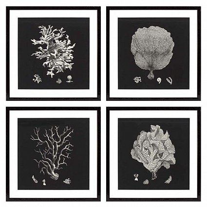 Настенный декор EICHHOLTZ Prints Black & Tan Corals set of 4 арт 106545 : фото 1