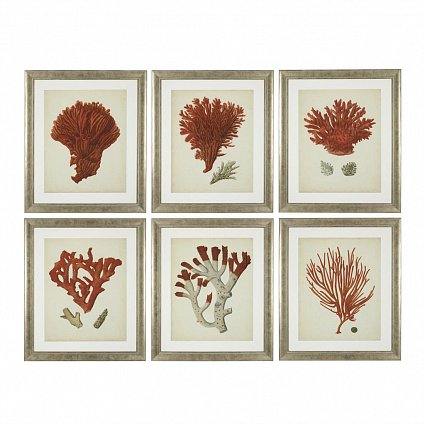 Настенный декор EICHHOLTZ Prints Antique red corals set of 6 арт 111741: фото 1
