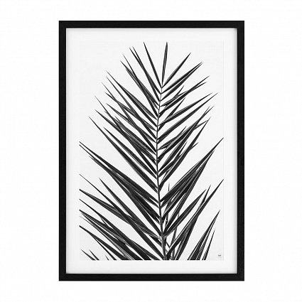 Настенный декор EICHHOLTZ Prints Palm Leaves set of 2 арт 112195: фото 3